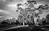 Schöne Landschaft von Australien HD Wallpaper #7