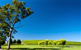 Beau paysage de fonds d'écran HD Australie #8