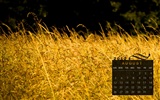 August 2012 Calendar wallpapers (1) #2