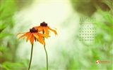 August 2012 Calendar wallpapers (2)