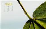 August 2012 Kalender Wallpapers (2) #7