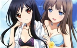 Beautiful anime girls HD Wallpapers (1) #10