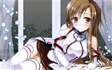 Beautiful anime girls HD Wallpapers (1) #12
