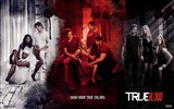 True Blood TV-Serie HD Wallpaper #2