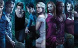 True Blood TV Series HD wallpapers #4