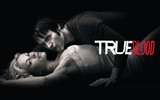 True Blood 真愛如血 電視劇高清壁紙 #13