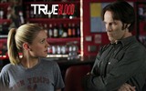 True Blood Serie de TV HD fondos de pantalla #18