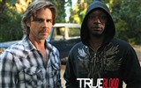 True Blood TV-Serie HD Wallpaper #19