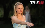 True Blood Série TV HD wallpapers #20