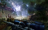 Sniper: Ghost Warrior 2 狙击手：幽灵战士2 高清壁纸3