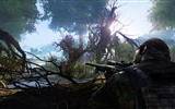 Sniper: Ghost Warrior 2 fondos de pantalla de alta definición #4