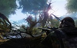 Sniper: Ghost Warrior 2 狙擊手：幽靈戰士2 高清壁紙 #4