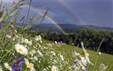 Windows 7 Wallpapers: Rainbows #9