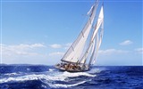 Windows 7 Wallpapers: Sailing #3