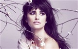 Penelope Cruz 佩內洛普·克魯茲高清壁紙 #25