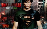 Smallville 超人前傳 電視劇高清壁紙 #13