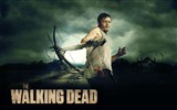The Walking Dead fonds d'écran HD #87993