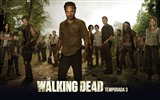 The Walking Dead fonds d'écran HD #7