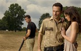 The Walking Dead HD wallpapers #12