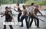 The Walking Dead HD Wallpaper #16