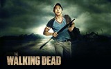 The Walking Dead fonds d'écran HD #18