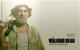 The Walking Dead fonds d'écran HD #22