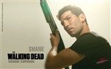 The Walking Dead fonds d'écran HD #24