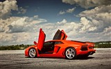 2012ランボルギーニAventador LP700-4 HDの壁紙 #24