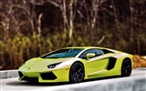 2012ランボルギーニAventador LP700-4 HDの壁紙 #33