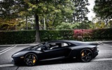 2012 Lamborghini Aventador LP700-4 fondos de pantalla HD #44