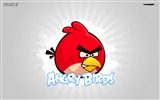 Angry Birds fonds d'écran de jeux #3