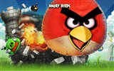 Angry Birds game wallpapers #7