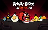 Angry Birds fonds d'écran de jeux #9