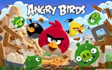 Angry Birds 愤怒的小鸟 游戏壁纸10