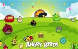 Angry Birds fonds d'écran de jeux #12