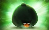 Angry Birds fonds d'écran de jeux #14