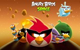 Angry Birds fonds d'écran de jeux #20