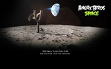 Angry Birds fonds d'écran de jeux #23