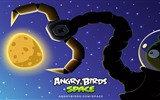 Angry Birds fonds d'écran de jeux #24