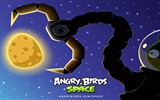 Angry Birds Spiel wallpapers #24