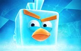 Angry Birds fonds d'écran de jeux #25