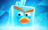 Angry Birds Spiel wallpapers #25