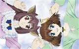 D.C. Dívčí Symphony HD anime Tapety na plochu #6