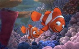 Finding Nemo 3D 海底總動員3D 2012高清壁紙 #11