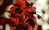 Octobre 2012 Calendar Wallpaper (2) #20