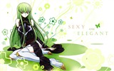 Code Geass 叛逆的鲁鲁修 高清壁纸12