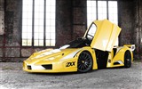 2012 Edo Competition Ferrari Enzo ZXX HD Tapety na plochu #4