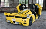 2012 Edo Competition ZXX Ferrari Enzo 法拉利高清壁紙 #6