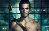 Arrow 2012 TV Series HD wallpapers #12