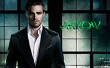 Arrow 2012 TV Series HD Tapety na plochu #13
